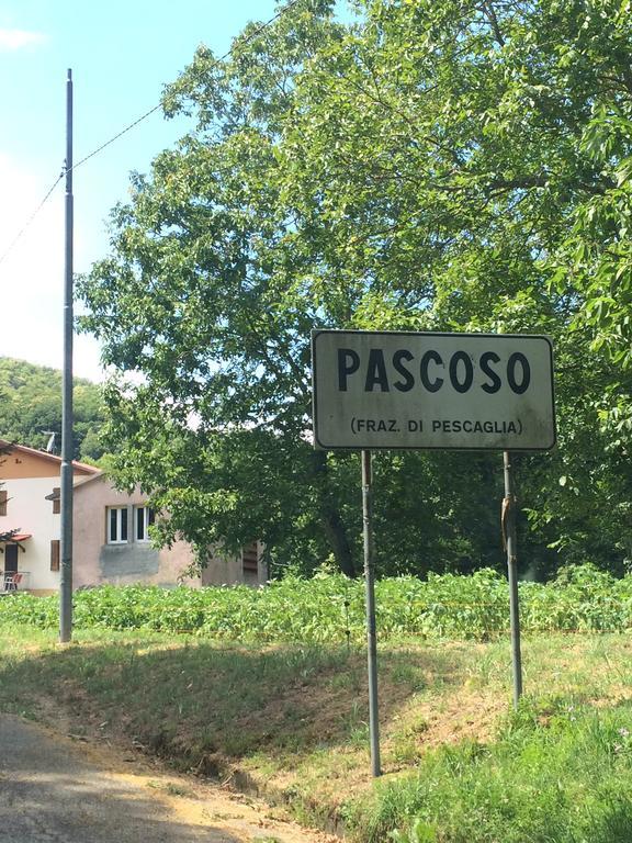 Casa Marta Villa Pescaglia ภายนอก รูปภาพ